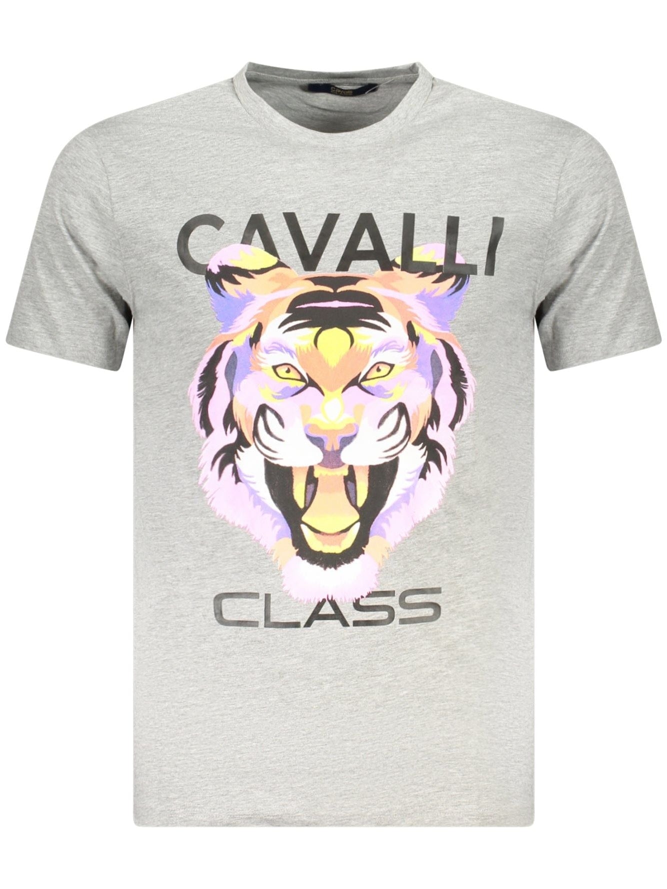 Cavalli Class · Тениска · Сив | DontMiss.bg
