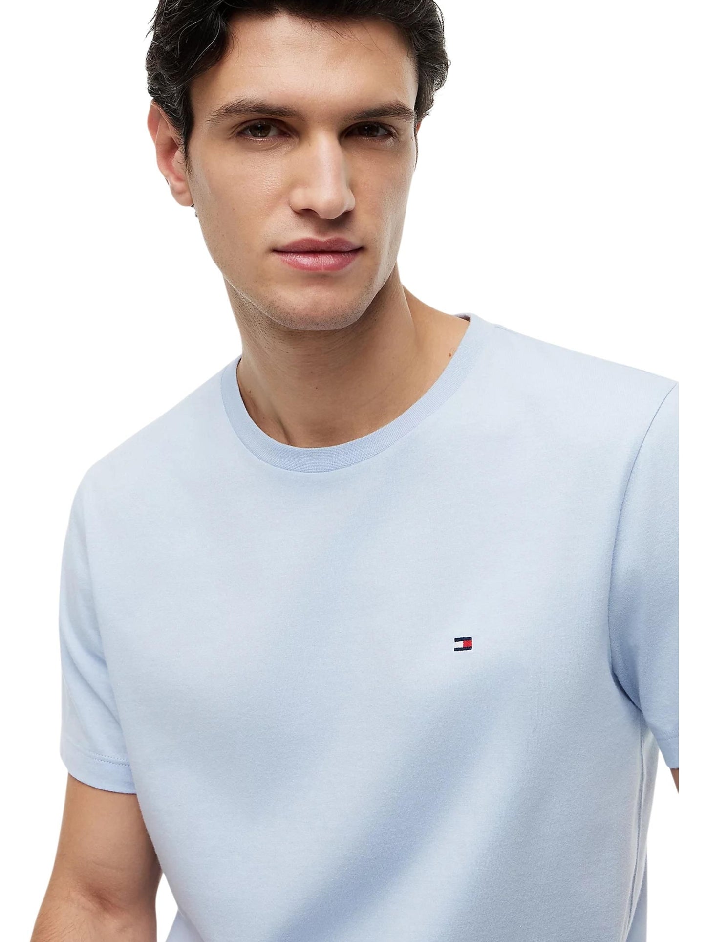 Tommy Hilfiger · Тениска · ESS SEASONAL REG FIT | DontMiss.bg